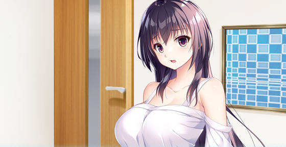 幸乃下萤的恋青日和:与义姐的秘密同居 v1.0 AI汉化版 ADV游戏+存档-星河部落